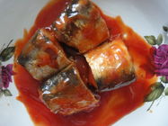 ماهی خال مخلوط ماهی کنسرو شده در سس گوجه فرنگی / نمک / روغن طعم عالی